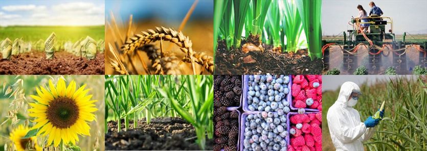 Sprzedaż artykułów ogrodniczych, Pest-Ario Hurtownia Ogrodnicza, Legnica